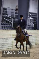 23R13_08937 thumbnail