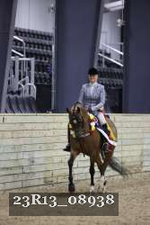 23R13_08938 thumbnail