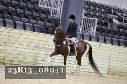 23R13_08941 thumbnail