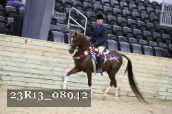 23R13_08942 thumbnail