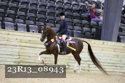 23R13_08943 thumbnail