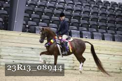 23R13_08944 thumbnail