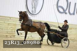 23R13_08980 thumbnail