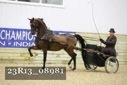 23R13_08981 thumbnail