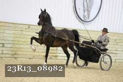 23R13_08982 thumbnail