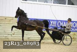 23R13_08983 thumbnail
