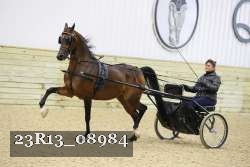23R13_08984 thumbnail