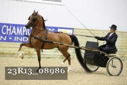 23R13_08986 thumbnail