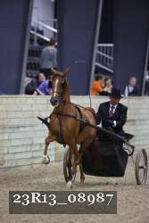 23R13_08987 thumbnail