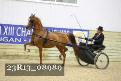 23R13_08989 thumbnail