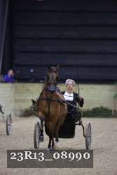 23R13_08990 thumbnail