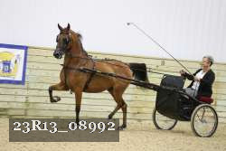 23R13_08992 thumbnail