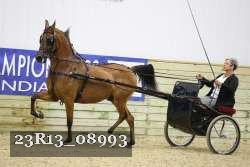 23R13_08993 thumbnail