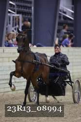 23R13_08994 thumbnail
