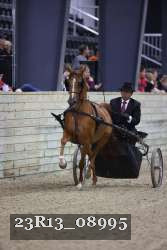 23R13_08995 thumbnail