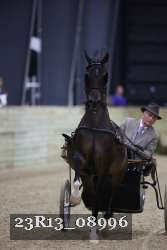 23R13_08996 thumbnail