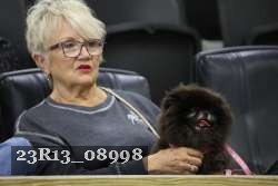 23R13_08998 thumbnail