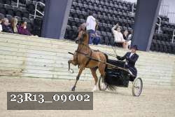 23R13_09002 thumbnail