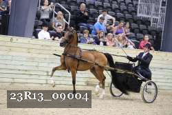 23R13_09004 thumbnail