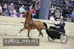 23R13_09005 thumbnail