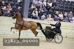 23R13_09006 thumbnail