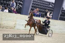 23R13_09007 thumbnail
