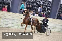 23R13_09008 thumbnail