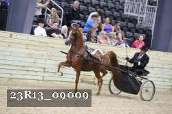 23R13_09009 thumbnail