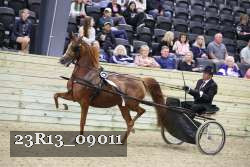 23R13_09011 thumbnail