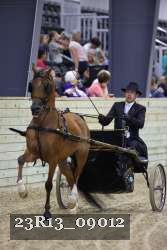 23R13_09012 thumbnail