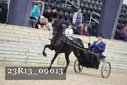 23R13_09013 thumbnail
