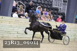 23R13_09014 thumbnail