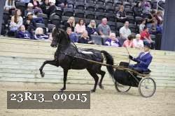 23R13_09015 thumbnail
