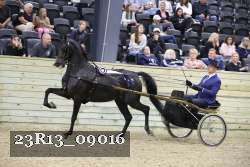 23R13_09016 thumbnail
