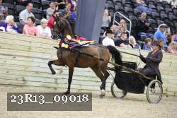 23R13_09018 thumbnail