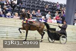 23R13_09019 thumbnail