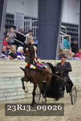 23R13_09026 thumbnail