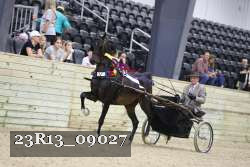 23R13_09027 thumbnail