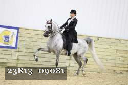 23R13_09081 thumbnail