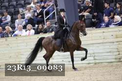 23R13_09083 thumbnail