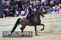 23R13_09084 thumbnail