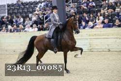 23R13_09085 thumbnail