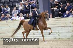 23R13_09086 thumbnail