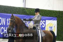 23R13_09088 thumbnail