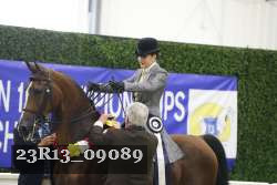 23R13_09089 thumbnail