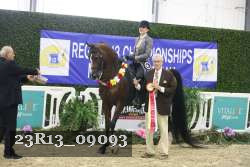 23R13_09093 thumbnail
