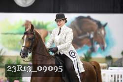 23R13_09095 thumbnail