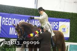 23R13_09096 thumbnail