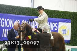 23R13_09097 thumbnail