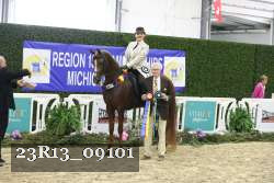 23R13_09101 thumbnail